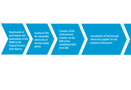 Steps for disclosure with Guarantees of origin (GO)