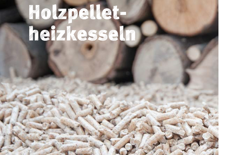 Broschüren-Titelseite "Leitfaden zur umweltfreundlichen öffentlichen Beschaffung von Holzpelletheizkesseln" mit einem Bild von Holzpellets und Holzstämmen und dem Logo des Umweltbundesamtes