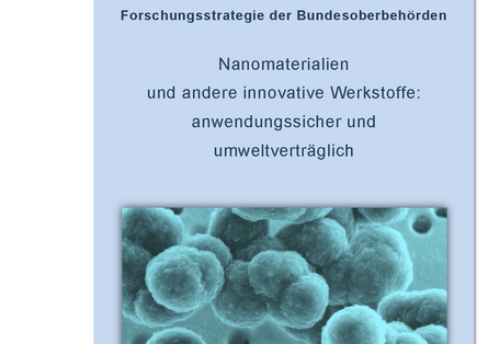 Cover der Publikation "Nanomaterialien und andere innovative Werkstoffe: anwendungssicher und umweltverträglich - Fortschreibung der gemeinsamen Forschungsstrategie der Bundesoberbehörden" mit einem Bild von vergrößertem Nanomaterial und den Logos der Herausgeber: BAM, BAuA, BfR, PTB, Umweltbundesamt
