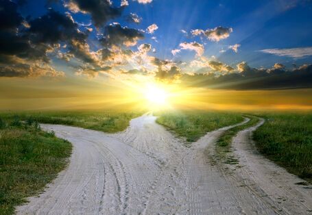 Field path with several branches, the sun rises on the horizon