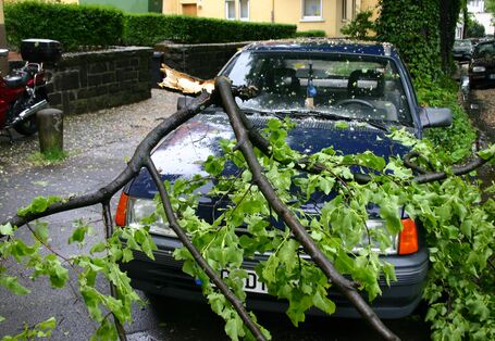 ein abgebrochener Ast liegt auf einem Auto in einem Wohngebiet