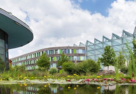 modernes vierstöckiges Gebäude mit Holz und verschiedenfarbigen Glaselementen, davor Bäume und ein Teich mit See- und Teichrosen