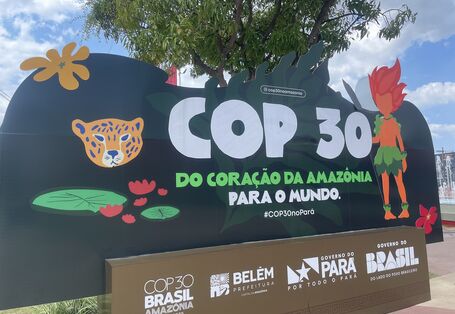 Logo: COP30 Brasil