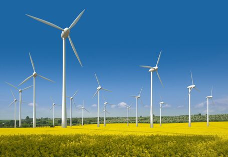Windpark auf einem blühenden Rapsfeld