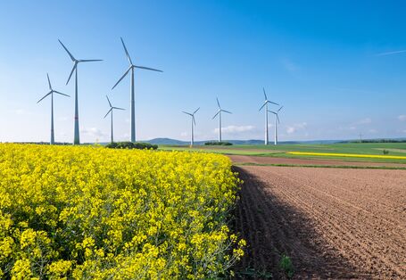 Windpark, Rapsfeld und unbestellter Acker