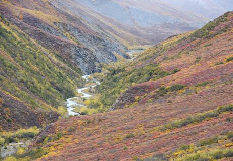 Farbenfrohe Herbstlandschaft in Alaska