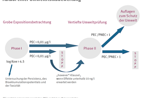 Ablaufschema einer Umweltverträglichkeitsprüfung für Arzneimittel von der groben Expositionsschätzung bis zur vertieften Umweltprüfung