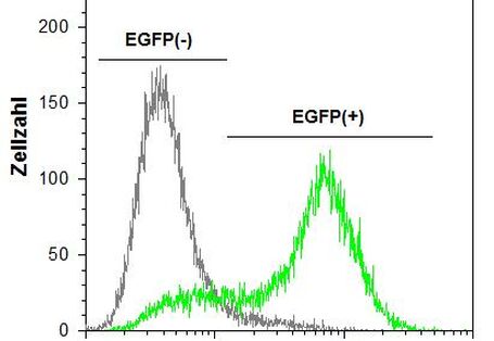 Liniendiagramm: Histogramm zum Vergleich der Fluoreszenz von aktivierten und nichtaktivierten Zellen