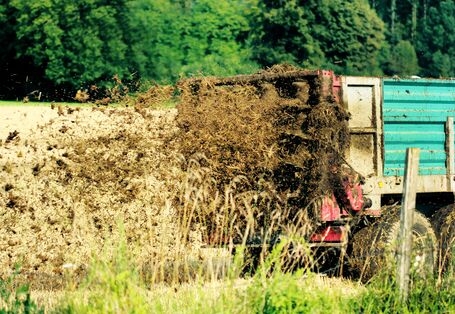 Miststreuer verteilt Kompost auf einem Feld