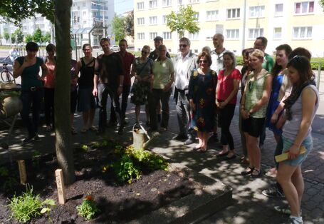 Mitarbeiter des UBA pflanzen in der Dessauer Innenstadt ein Blumenbeet (Baumscheibe). Hier sehen Sie sich das Resultat ihrer Arbeit an. 