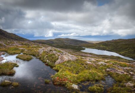 Moorlandschaft vor blauem Himmel