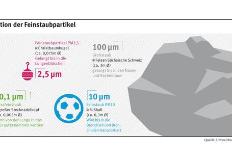 PM2,5 ist in Relation zu anderen Feinstaubpartikeln etwa so groß wie eine Christbaumkugel (ca. 0,075m im Durchmesser). PM10 ist so groß wie ein Fußball (ca. 0,3 m i.D.). Großstaub ist so groß wie ein 3-Meter-Felsen, Ultrafeinstaub wie ein Stecknadelkopf