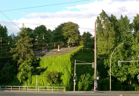An der einer Straßenkreuzung steht ein Haus, das völlig bewachsen ist, nicht einmal mehr die Fenster sind zu sehen. 