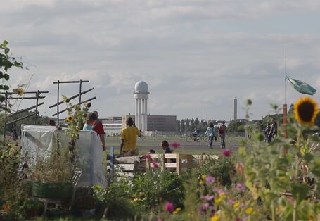 Ein Blumengarten direkt am Rand des Tempelhofer Flugfelds in Berlin, das als Parkt genutzt wird. 
