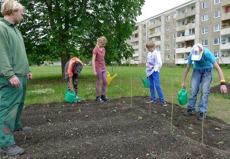 Kinder pflanzen in Dessau ein Blumenbeet.