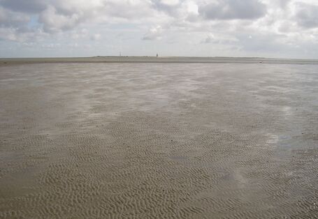 Wattenlandschaft bei Wangerooge bei Ebbe