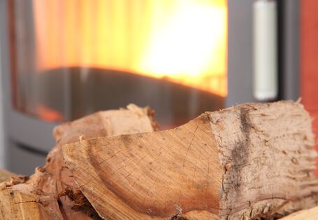 Hlozscheite leigen vor dem Kaminofen