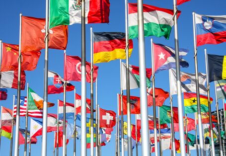 Fahnen der Staaten flattern im Wind