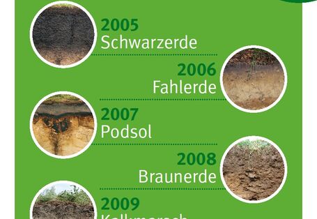 Bilder der 10 Böden des Jahres 