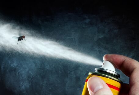 Sprühdose gegen Fliegen