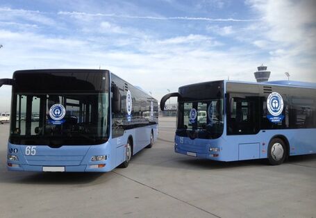 Busse mit dem Umweltzeichen Bauer Engel