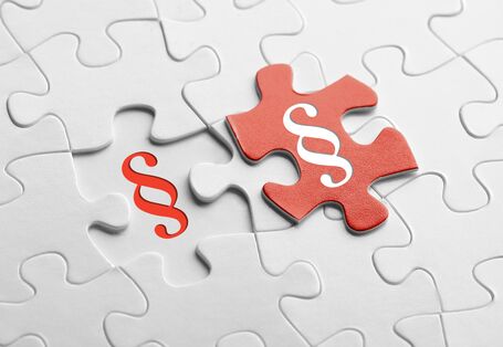 rotes Puzzelteil mit Paragrafenzeichen