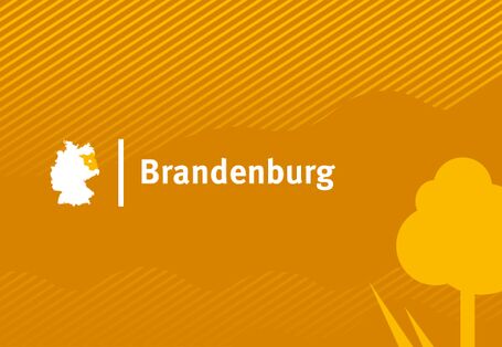 Headerbild für Bundesland Brandenburg