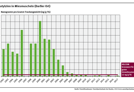 Miesmuscheln vom Darßer Ort enthielten im Jahr 2000 die höchsten Tributylzinngehalte seit 1992. Seitdem ist die Belastung um mehr als 95 Prozent zurückgegangen und liegt jetzt unterhalb des Grenzwertes von 12 Nanogramm pro Gramm Trockengewicht.