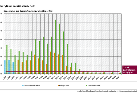 Der Gehalt an Tributylzinn in Miesmuscheln aus dem Jadebusen und von Standorten bei Sylt stieg um die Jahrtausendwende stark an und sank danach deutlich ab.
