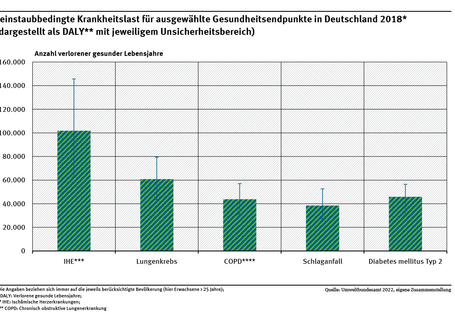 Das Balkendiagramm zeigt die zeitliche Entwicklung von 2010 bis 2018 der feinstaubbedingten Gesamtkrankheitslast, dargestellt als Disability-Adjusted Life Years mit den jeweiligen Unsicherheitsbereichen.