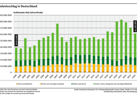 Das Diagramm zeigt den Holzeinschlag von 1998 bis 2024 in Kubikmetern Holz. 81,5 % des Holzeinschlags des Jahres 2024 entfielen auf Nadelhölzer wie Fichte, Tanne, Douglasie, Kiefer und Lärche, 15,8 % auf Buche und sonstiges Laubholz und nur etwa 2,8 % auf Eiche und Roteiche.