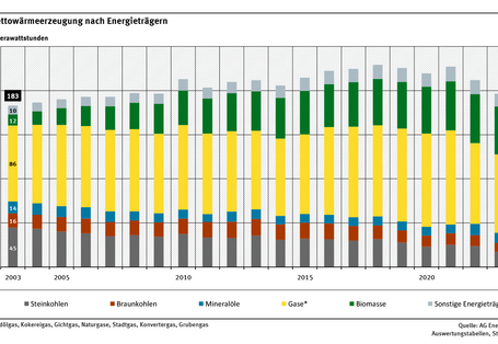 Das Balkendiagramm zeigt die Entwicklung der KWK-Nettowärmeerzeugung von 2003 bis 2024 für einzelne Energieträger.