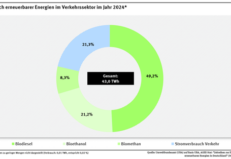 Ein Ringdiagramm stellt für das Jahr 2024 die Zusammensetzung der erneuerbaren Energien im Verkehrssektor dar. Den größten Anteil hat Biodiesel, gefolgt von Bioethanol.