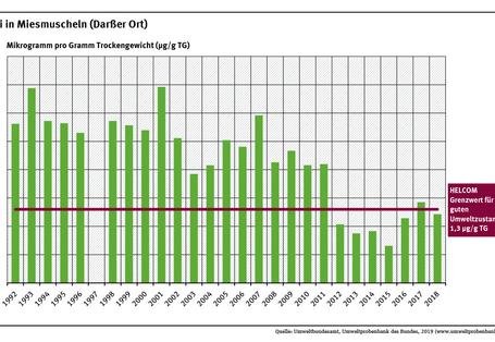Der Bleigehalt in Miesmuschelfleisch am Darßer Ort schwankte zwischen den Jahren 1992 und 2018. Aber insgesamt gesehen sank die Bleibelastung seit Anfang der 1990er Jahre um etwa 60 Prozent.