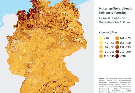 Das Thünen-Institut hat aus den bundesweiten Bodenzustandserhebungen im Wald und in der Landwirtschaft eine nutzungsübergreifende Karte der Kohlenstoffvorräte erstellt. In Nord- und Süddeutschland treten die Gebiete mit den höchsten Kohlenstoffvorräten im Boden in dunkelbraunen Farben hervor. Dies sind Moorböden und weitere organische Böden, die es besonders zu schützen gilt. Sie speichern klimarelevanten Kohlenstoff.