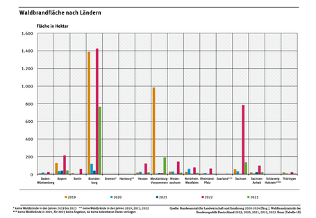 Das Diagramm zeigt die Waldbrandfläche für die einzelnen Bundesländer in den Jahren 2019 bis 2023. Brandenburg verzeichnete im Jahr 2023 die größte Waldbrandfläche.