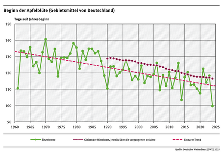 Das Liniendiagramm zeigt den Zeitpunkt des Blühbeginns bei Apfel (Tage ab Jahresbeginn, Gebietsmittel für Deutschland) seit 1961. Der lineare Trend zeigt, dass sich der Zeitpunkt tendenziell in Richtung Jahresbeginn verschiebt.