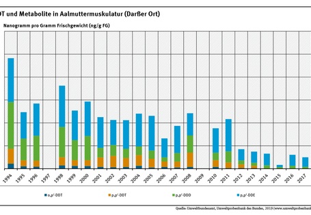 Die Belastung der Muskulatur von Aalmuttern am Darßer Ort mit dem Insektizid DDT und zwei seiner Abbauprodukte sank im Zeitraum von 1994 bis 2017 um mehr als 90 Prozent.