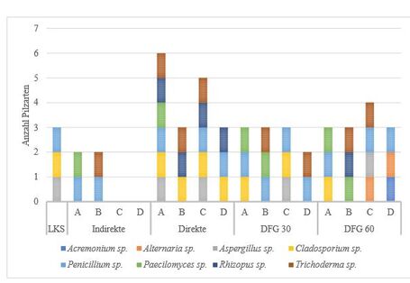 Farbliche Darstellung in einem Säulendiagramm 