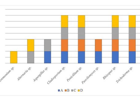 Darstellung als Säulendiagramm; Gruppe A blau, Gruppe B orange, Gruppe C grau, Gruppe D gelb