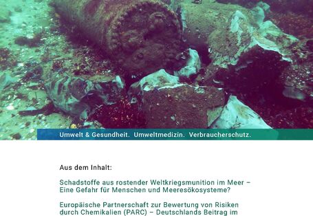 Das Cover der Publikation