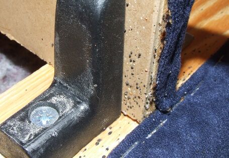 an einem Bettgestell aus Holz sind Bettwanzen und deren Kotspuren zu sehen