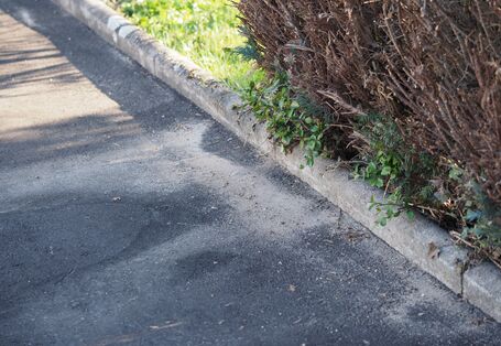 mehrere Nesteingänge mit typischem Sandauswurf auf einem Gehweg