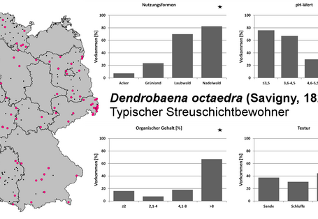 Die KArte zeigt wo sich der Regenwurm am meisten zu finden ist. Außerdem zeigen die Grafiken, dass er meistens Nadelwald wohnt, bei einem pH-Wert von <3,5 