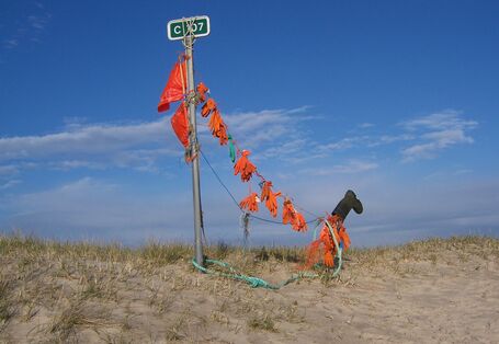 Orangene Gummihandschuhe hängen aufgreiht an einem Seil, das an einem Schild auf einer Sanddüne festgebunden ist
