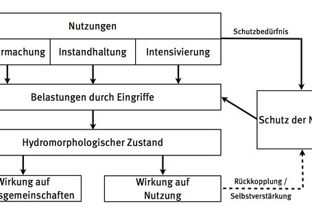 Ein Schema, dass zeigt welche Art der Nutzungen wie auf das Gewässer wirken.