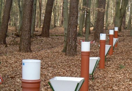 Neuglobsow Streusammlung