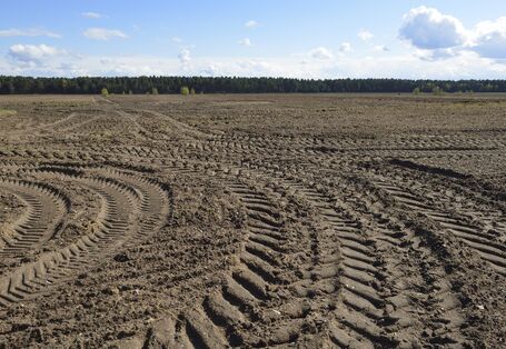 Ein Acker mit Traktorspuren.