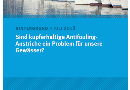 Das Cover der Publikaiton