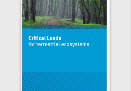 Cover Flyer Critical Loads